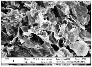 Image for - Effect of Boric Acid with Kaolin Clay on Thermal Degradation of Intumescent Fire Retardant Coating
