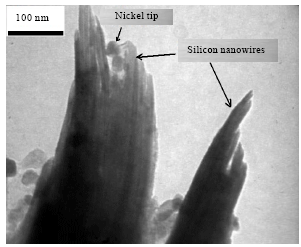 Image for - One Dimensional Silicon Nanostructures Synthesized via Thermal Evaporation on Nickel Coated Silicon Wafer: Effect of Substrate Position