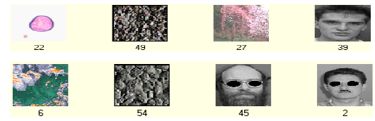 Image for - Partitioning an Image Database by K_means Algorithm