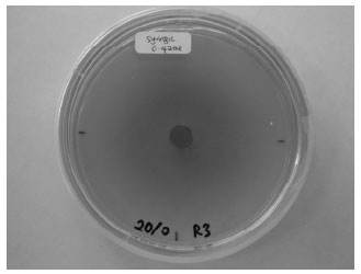 Image for - HPC Fingerprints and In vitro Antimicrobial Activity of Syringic Acid, Caffeic Acid and 4-hydroxybenzoic Acid against Ganoderma boninense