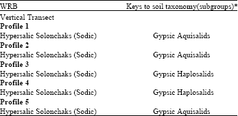 Image for - Comparison Between Keys to Soil Taxonomy and WRB to Classification of Soils in Segzi Plain (Iran)