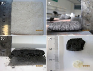 Image for - Mechanisms of Char Strengthening in the Fibre Reinforced Intumescent Coatings