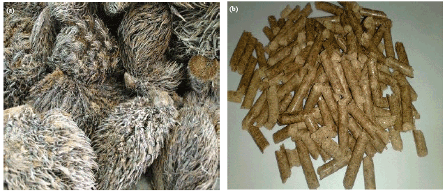 Image for - Analysis of the Pyrolytic Fuel Properties of Empty Fruit Bunch Briquettes