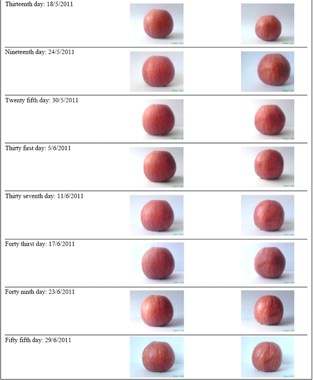 Image for - Protection Effect of Gold Nanoparticles Coated on Fruit and Vegetables Using PVD Method