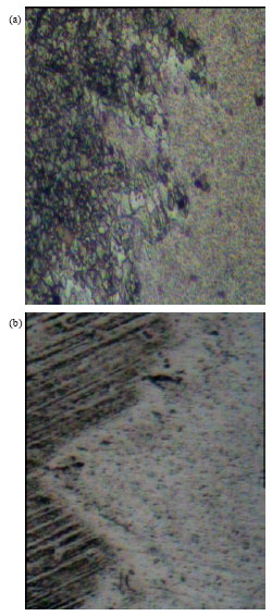 Image for - Effect of Ageing on Mechanical Properties of Dissimilar Friction Stir Welded Aluminum Alloy (AA2024 and AA6351) Joints