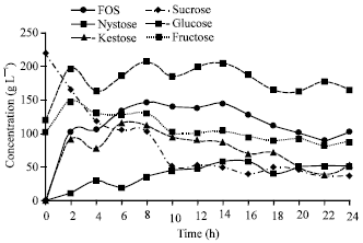 Image for - Optimization of Enzymatic Production of Fructooligosaccharides from Longan Syrup