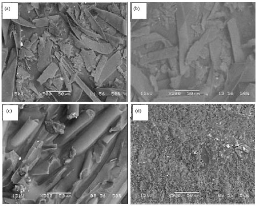 Image for - Synthesis and Characterization of Kapok Fibers and its Composites