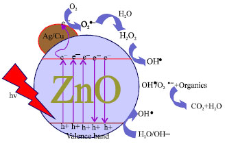 Image for - Photocatalytic Activity under Solar Irradiation of Silver and Copper Doped Zincoxide: Photodeposition Versus Liquid Impregnation Methods