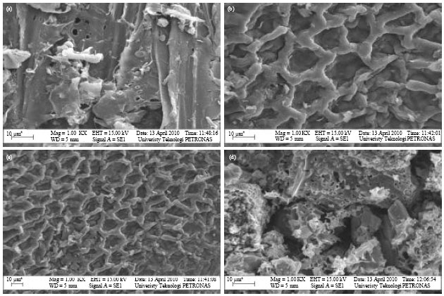 Image for - Preparation and Characterization of Activated Carbon from Rubber-seed Shell by Chemical Activation