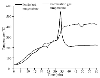 Image for - Combustion of Municipal Solid Waste in Fixed Bed Combustor for Energy Recovery