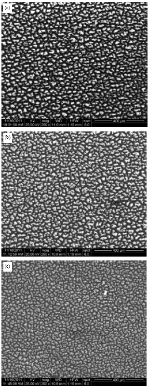 Image for - Effect of Polymer Fraction on Refractive Index of Nanocrystalline Porous Silicon
