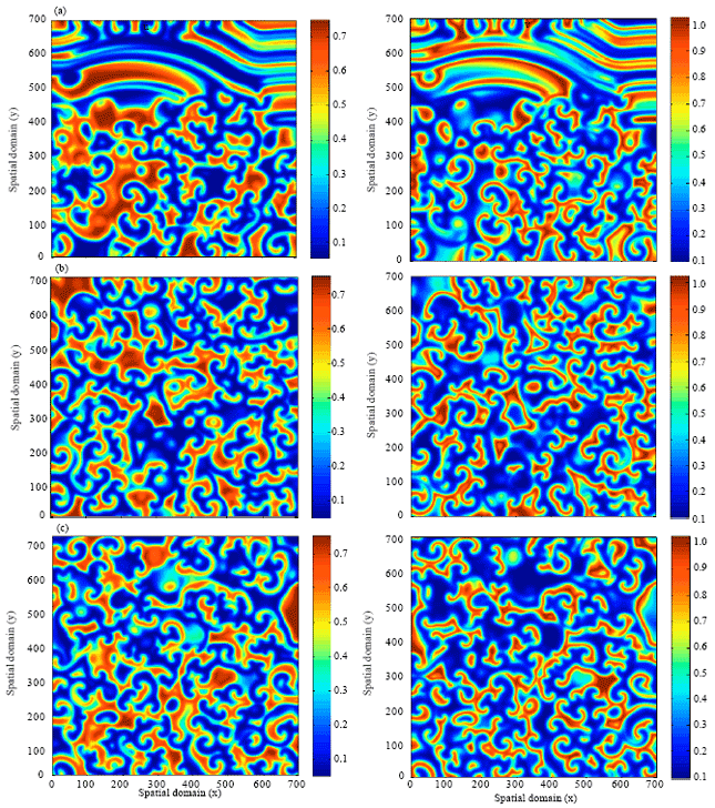 Image for - Pattern Formation in a Two-dimensional Space Diffusive Prey-predator Model