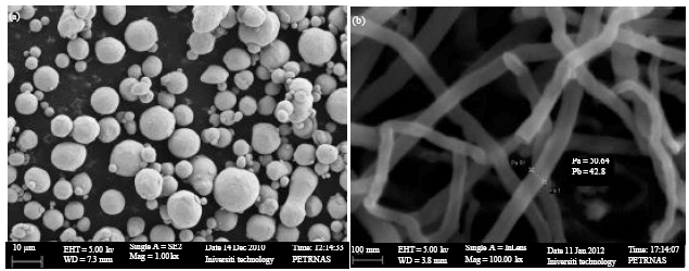 Image for - Carbon Nanotubes Reinforced Copper Matrix Nanocomposites via Metal Injection Molding Technique