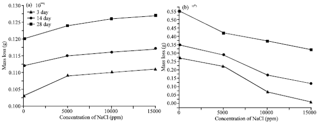 Image for - The Effect of Fly Ash on Resistance of Hardened Cement Pastes to Sodium Chloride Attack