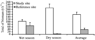 Image for - Above Ground Carbon Sequestration in Mangrove Forest Filtration System