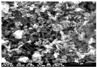 Image for - Ethanol Sensor Based on Dip Coated ZnO Thick Films