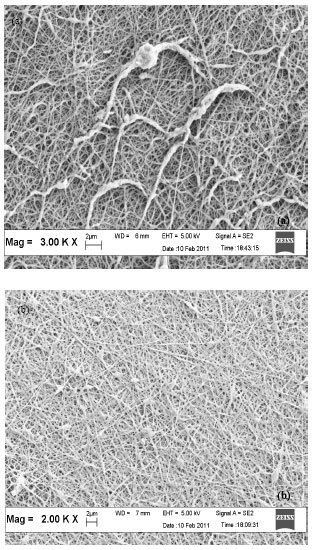Image for - The Optimization of Electrical Conductivity Using Central Composite Design for Polyvinyl Alcohol/Multiwalled Carbon Nanotube-Manganese Dioxide Nanofiber Composites Synthesised by Electrospinning