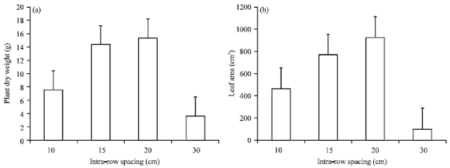Image for - Response of French Bean (Phaseolus vulgaris L.) to Intra-row Spacing in Maseno Division, Kenya