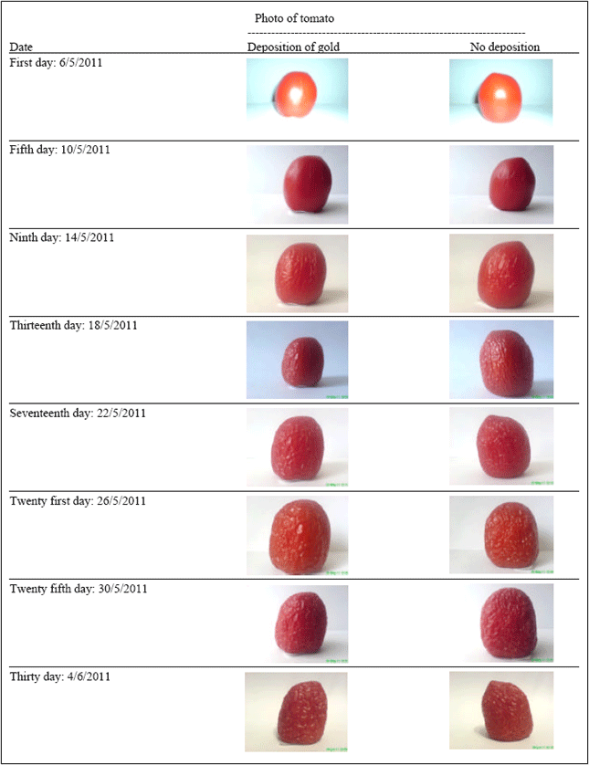 Image for - Protection Effect of Gold Nanoparticles Coated on Fruit and Vegetables Using PVD Method