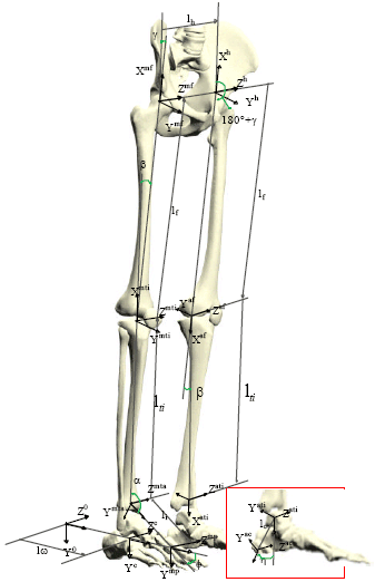 Image for - Modeling and Concept Design of an Active Leg Orthosis for Tumble Protection
