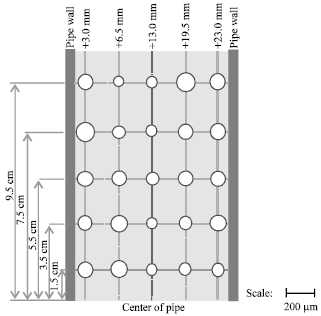 Image for - Bubbles Size Estimation in Liquid Flow Through a Vertical Pipe