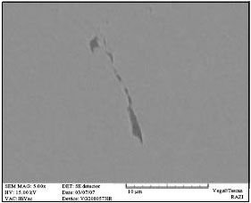 Image for - Corrosion Investigation of Pipeline Steel in Hydrogen Sulfide Containing Solutions