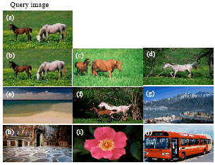 Image for - Median and Laplacian Filters based Feature Analysis for Content Based Image Retrieval Using Color Histogram Refinement Method