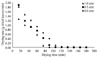 Image for - Vacuum Drying Characteristics for Piper betle L. Leaves