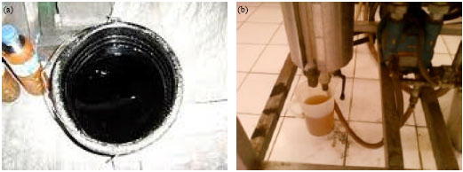 Image for - Characterization of Redistilled Liquid Smoke of Oil-palm Shells and its Application as Fish Preservatives