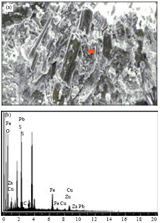 Image for - Cu Accumulation in the Rhizosphere of Lindenbergia philippensis (Cham.) Benth. Growing in the Contaminated Sediment