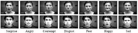Image for - Gradient Direction Pattern: A Gray-scale Invariant Uniform Local Feature Representation for Facial Expression Recognition