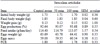 Image for - Effect of Jerusalem Artichoke (Helianthus tuberosus L.) Supplementation  on Production Performances, Egg Quality Characteristics and Intestinal Microflora  of Laying Hens