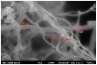 Image for - Effect of Nanomaterial on the Rheology of Drilling Fluids