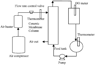 Image for - Effects of Operating Pressure and Temperature on the Oxygen Diffusion through Hollow Fiber Ceramic Membrane