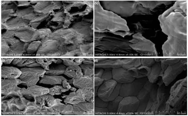 Image for - Ion-exchange Adsorption of Reactive Dye Solution onto Quaternized Palm Kernel Shell
