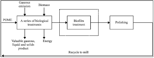Image for - A Review of Biofilm Treatment Systems in Treating Downstream Palm Oil Mill Effluent (POME)