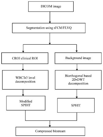 Image for - Coding of Clinical ROI Using S-FCM and WBCT
