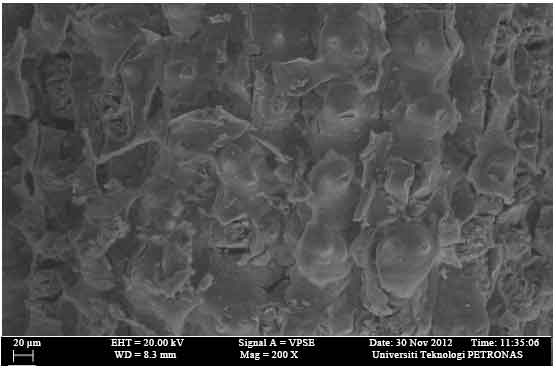 Image for - Acidically Prepared Rice Husk Carbon for Adsorption of Zn(II) from Aqueous Solution