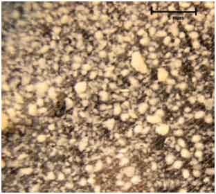 Image for - Zinc (II) Removal from Aqueous Solution by Biosorption with Aerobic Granular Sludge