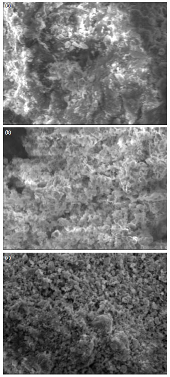 Image for - Adsorption of Phosphorus Using Water Treatment Sludge