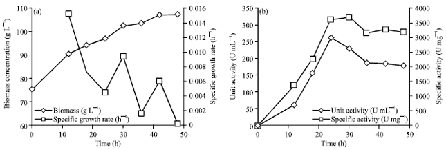 Image for - Effect of Methanol Feeding Rate on the Expression of Glomerella cingulata Cutinase Using Recombinant Pichia pastoris in Shake Flask
