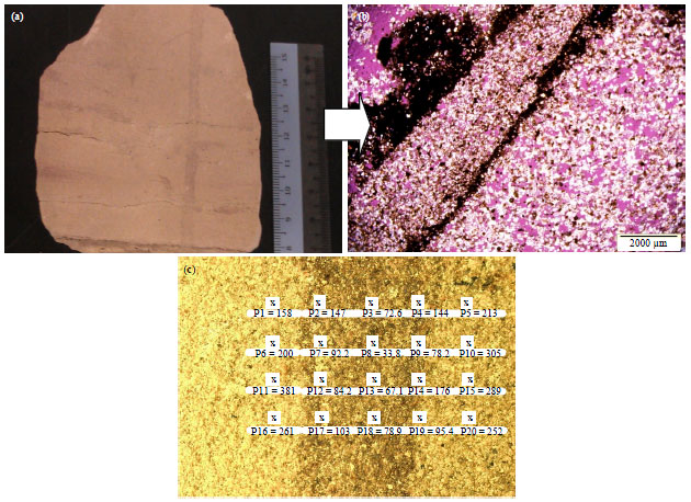 Image for - Impact of Bioturbation on Reservoir Quality: A Case Study of Biogenically Reduced Permeabilities of Reservoir Sandstones of the Baram Delta, Sarawak, Malaysia