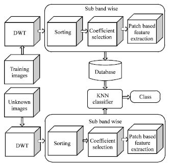 Image for - Classification of Textures using Patch Based Energy Features of Selected Wavelet Coefficients