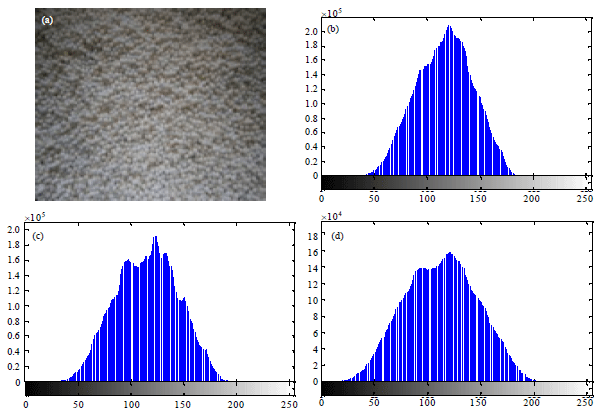 Image for - Particle Mixing Analysis Using Digital Image Processing Technique