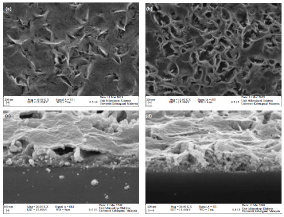 Image for - Structural and Optical Properties of ZnO Thin Films for Dye-Sensitized Solar Cell