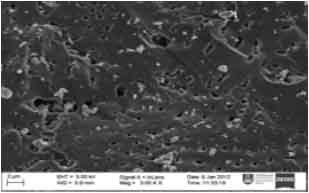 Image for - Removal of Heavy Metals from Simulated Wastewater Using Physically and Chemically Modified Palm Shell Activated Carbon
