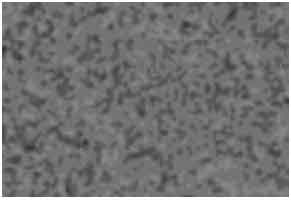 Image for - Investigation of Microstructure and Mechanical Behavior of AlSi7 Mg