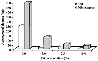 Image for - Use of Compost to Enhance the Growth of Tomatoes in Soil Contaminated with Nigerian Crude Oil