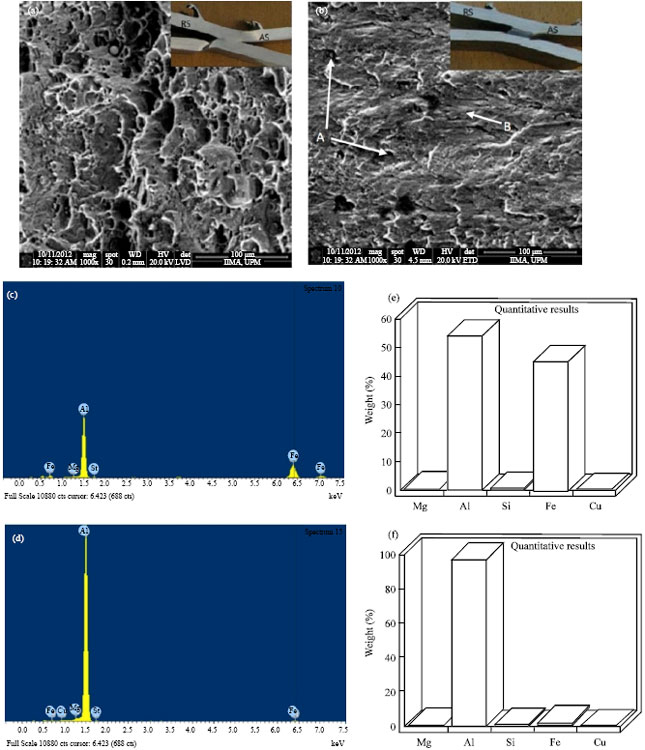 Image for - Investigation of Microstructure and Mechanical Properties of Friction Stir  LapWelded AA6061-T6 in Various Welding Speeds