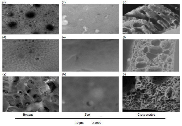 Image for - Synthesis of Cellulose Acetate Membrane from the Egyptian Rice Straws